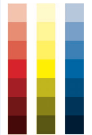 رنگ های مکمل- تضادهای رنگی